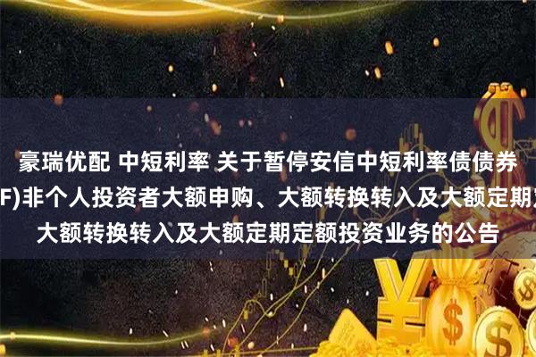 豪瑞优配 中短利率 关于暂停安信中短利率债债券型证券投资基金(LOF)非个人投资者大额申购、大额转换转入及大额定期定额投资业务的公告