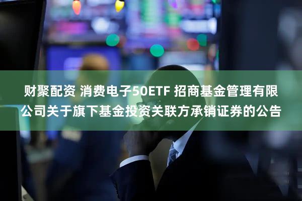 财聚配资 消费电子50ETF 招商基金管理有限公司关于旗下基金投资关联方承销证券的公告