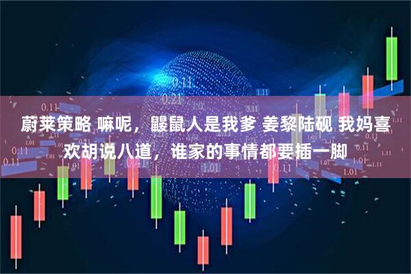蔚莱策略 嘛呢，鼹鼠人是我爹 姜黎陆砚 我妈喜欢胡说八道，谁家的事情都要插一脚