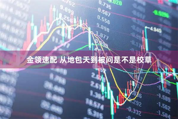 金领速配 从地包天到被问是不是校草
